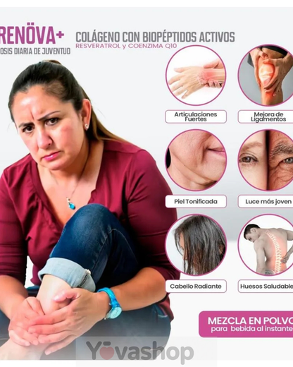 COLAGENO RENOVA